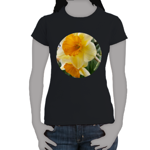 Orange and Yellow Daffodils- Women's Softstyle Tee - Gildan+ Mug 'n Tee