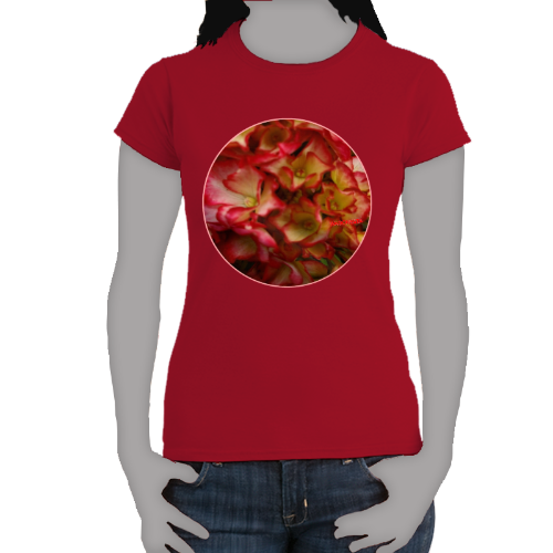 Rose Color Hydrangea- Women's Softstyle Tee - Gildan + Mug 'n Tee