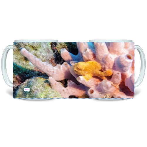 11 oz Ceramic Mug - Wagonesta - Frogfish