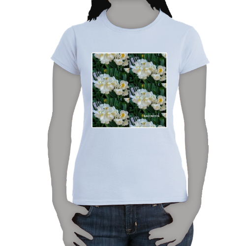 Tiny Daffodils- Women's Softstyle Tee - Gildan + Mug 'n Tee