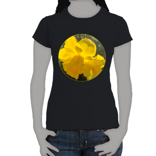 Large Yellow Daffodils- Women's Softstyle Tee - Gildan +Mug 'n Tee