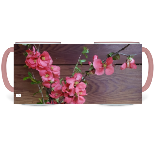 11 oz. Two-Tone Mug (Pink) - Wagonesta - Mock Fig