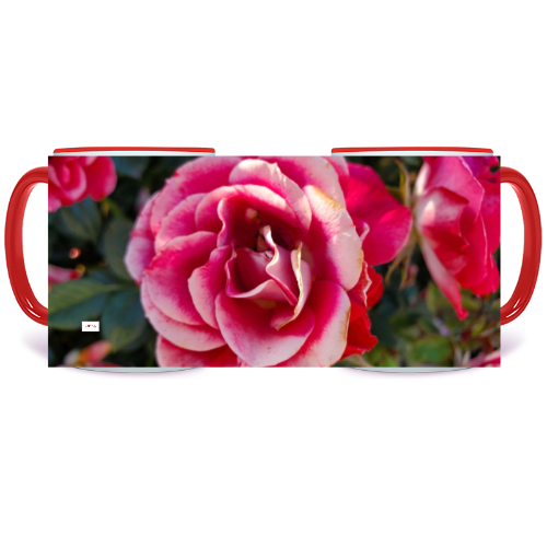 11 oz. Two-Tone Mug (Red) - Wagonesta  - Two Tone Roses