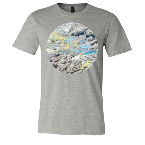 Bright Little Fish - Unisex Jersey Short Sleeve Tee - Bella+Canvas + Mug 'n Tee