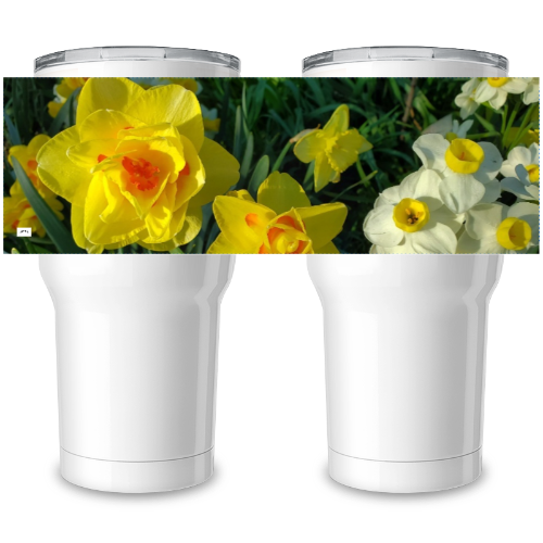 30 oz Insulated Steel Tumbler - Wagonesta - Group of Daffodils