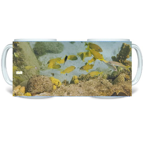 11 oz Ceramic Mug - Wagonesta - Little Yellow Fish