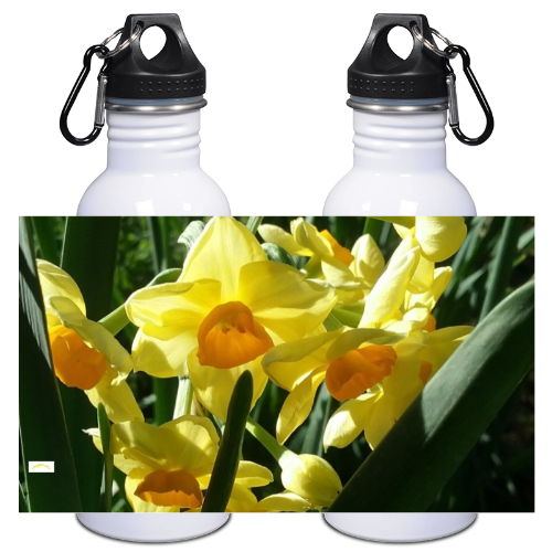 20 oz SS Water Bottle Stainless Steel- Wagonesta - Bouquet of Daffodils