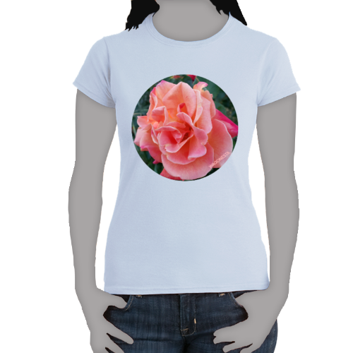 Peach Rose - Women's Softstyle Tee - Gildan- Mug 'n  Tee