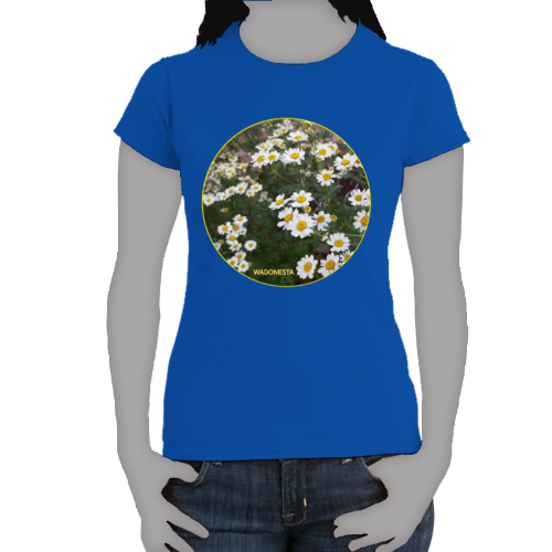 Bunch of Daisies- Women's Softstyle Tee - Gildan - Mug 'n Tee