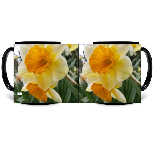 11 oz Black Mug - Wagonesta - Orange and Yellow Daffodils