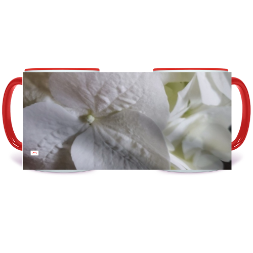 11 oz. Two-Tone Mug (Red) - Wagonesta - White Hydrangea