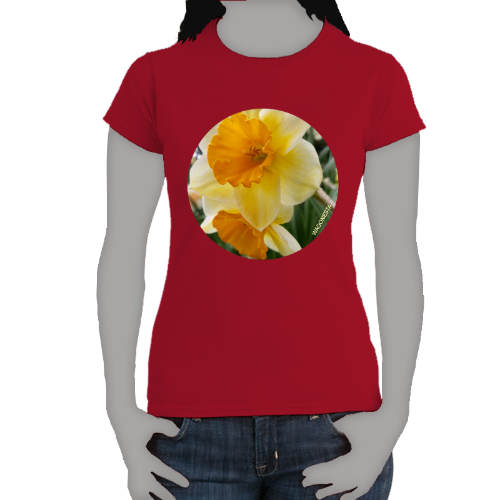 Orange and Yellow Daffodils- Women's Softstyle Tee - Gildan+ Mug 'n Tee