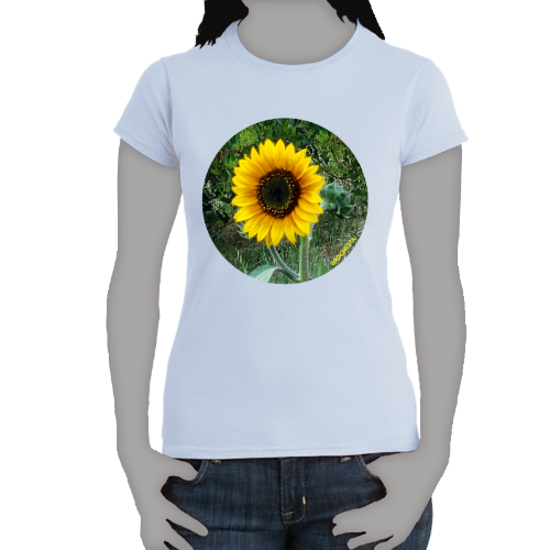 Sunflower - Women's Softstyle Tee - Gildan+ Mug 'n Tee