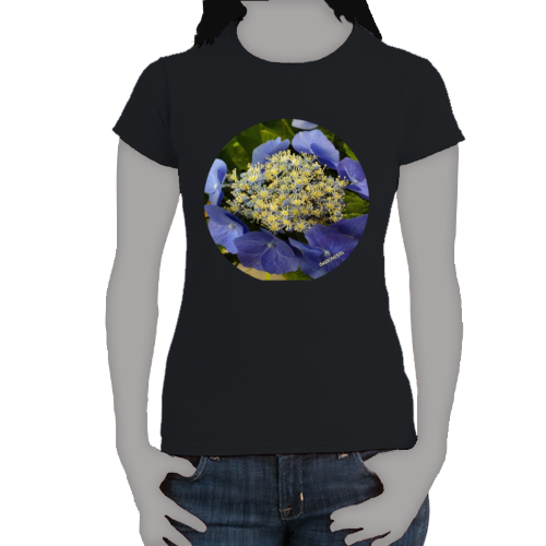 Periwinkle Macrophylia Hydrangea- Women's Softstyle Tee - Gildan + Mug 'n Tee