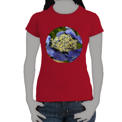 Periwinkle Macrophylia Hydrangea- Women's Softstyle Tee - Gildan + Mug 'n Tee