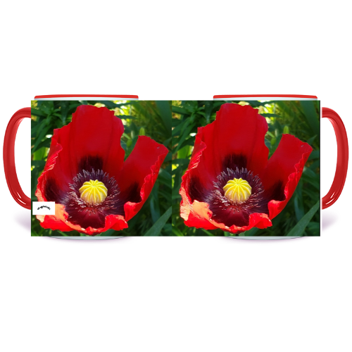 11 oz. Two-Tone Mug (Red) Wagonesta- Large Oriental Poppy