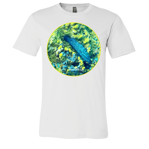 Fish on Coral - Unisex Jersey Short Sleeve Tee - Bella+Canvas+ Mug 'n Tee