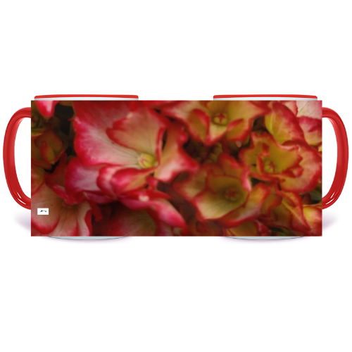 11 oz. Two-Tone Mug (Red) - Wagonesta - Red Edged Hydrangea