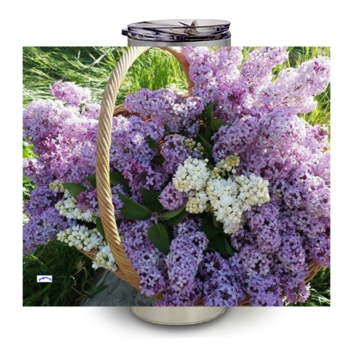 LumaSteel 20oz Tumbler - Wagonesta- Lilacs