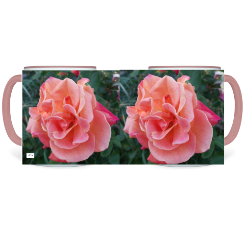 11 oz. Two-Tone Mug (Pink) - Wagonesta - Lt. Pink Roses