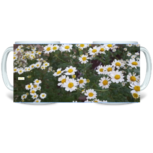 11 oz Ceramic Mug - Wagonesta - Daisies