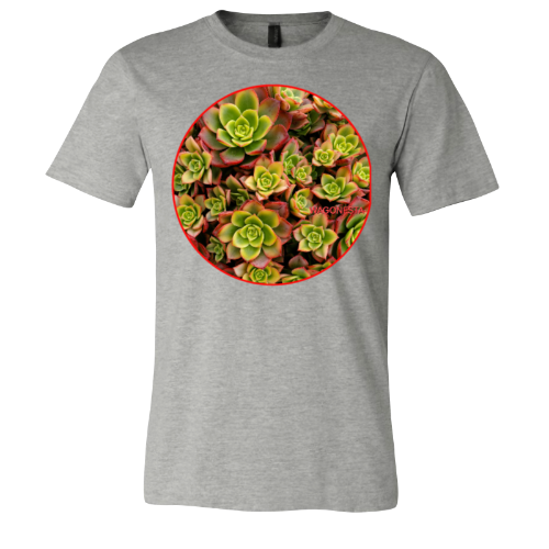 Succulents - Unisex Jersey Short Sleeve Tee - Bella+Canvas +Mug 'n Tee