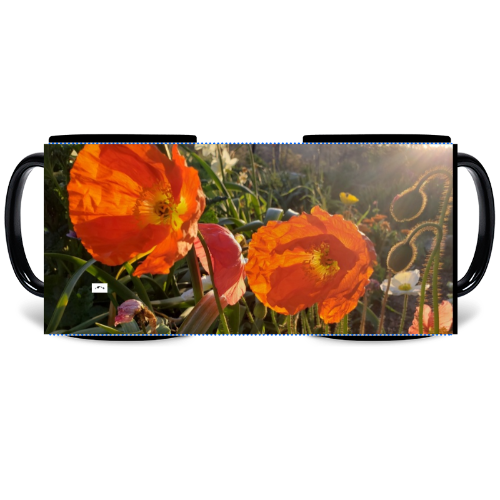 11 oz Black Mug - Wagonesta- Icelandic Poppies