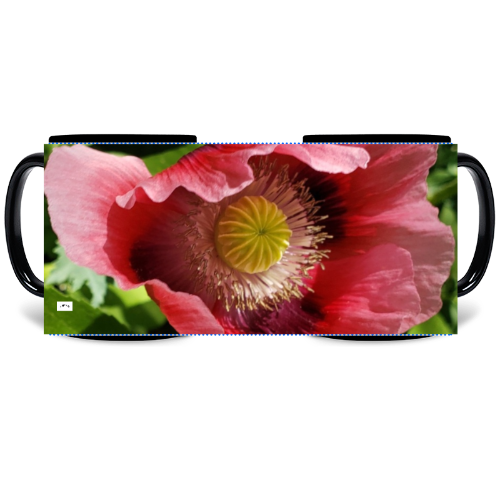 11 oz Black Mug - Wagonesta - Oriental Poppy