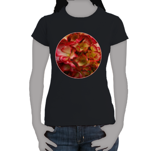 Rose Color Hydrangea- Women's Softstyle Tee - Gildan + Mug 'n Tee