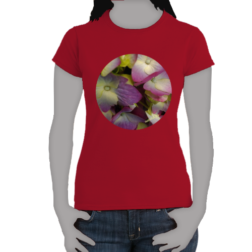 Lavender Yellow  Hydrangea - Women's Softstyle Tee - Gildan + Mug 'n Tee