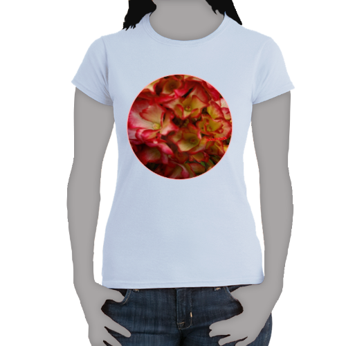 Rose Color Hydrangea- Women's Softstyle Tee - Gildan + Mug 'n Tee