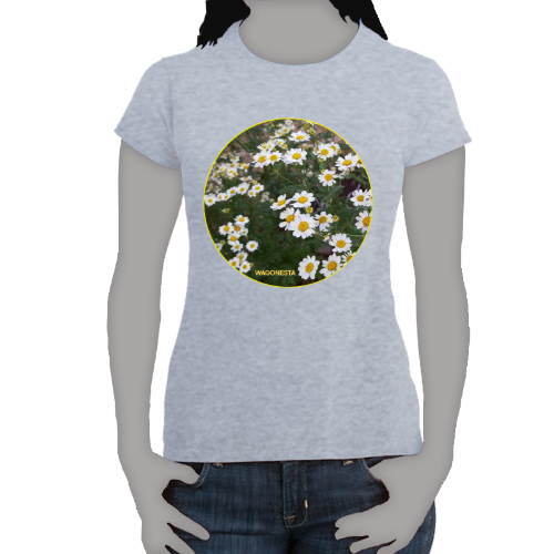 Daisies - Women's Softstyle Tee - Gildan + Mug 'n Tee