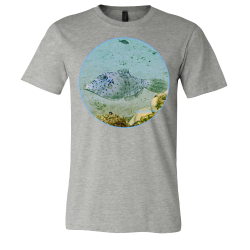 Blue Fish - Unisex Jersey Short Sleeve Tee - Bella+Canvas +Mug 'n Tee