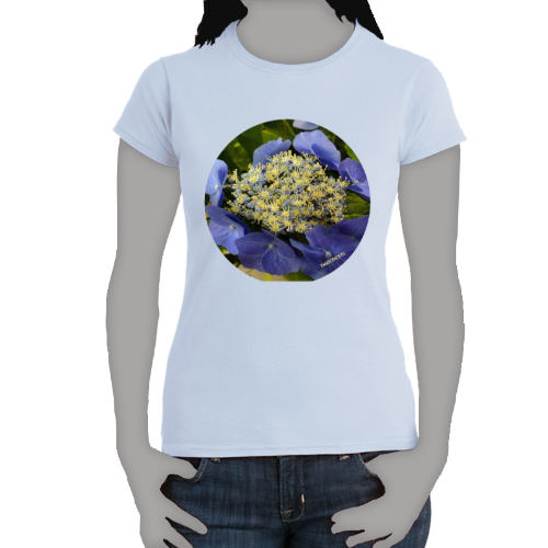 Periwinkle Macrophylia Hydrangea- Women's Softstyle Tee - Gildan + Mug 'n Tee