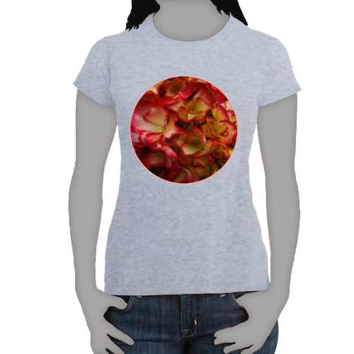 Rose Color Hydrangea- Women's Softstyle Tee - Gildan + Mug 'n Tee