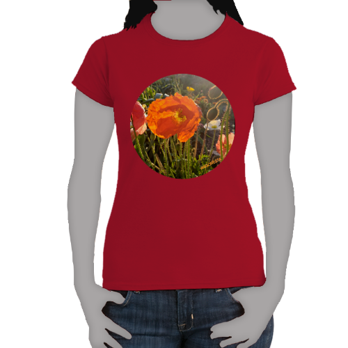 Icelandic Poppies-  Women's Softstyle Tee - Gildan +Mug 'n Tee