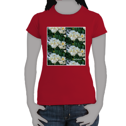 Tiny Daffodils- Women's Softstyle Tee - Gildan + Mug 'n Tee