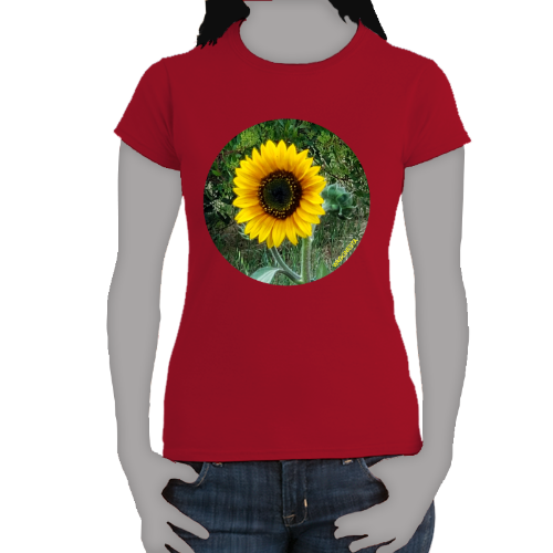 Sunflower - Women's Softstyle Tee - Gildan+ Mug 'n Tee