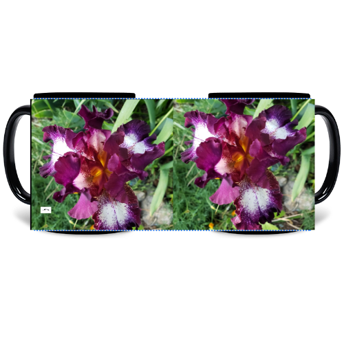 11 oz Black Mug - Wagonesta- Variegated Iris