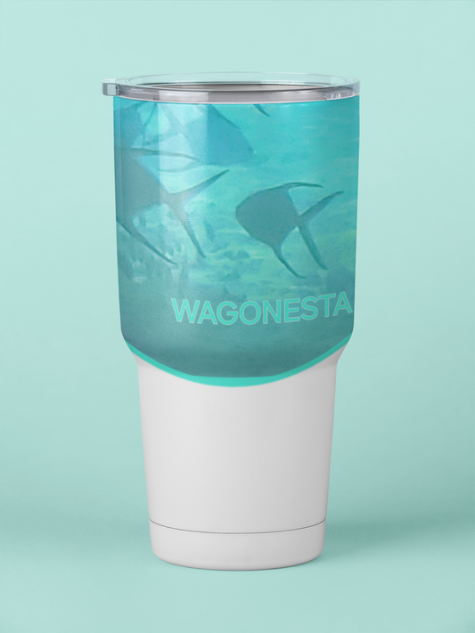 30 oz Insulated Steel Tumbler - Wagonesta - School of Fish